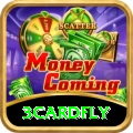 3cardfly Plus Edition v3.4.8