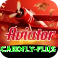 3cardfly Premium Edition v5.2.3