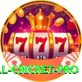 all cricket Live Casino Super