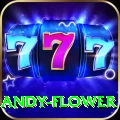 andy flower Max v2.3.0