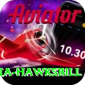 antigua hawksbill Master v3.5.9