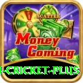australian cricket - Real Money Royal