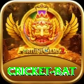 cricket bat Pro Edition v1.2.3