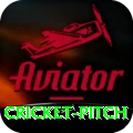 cricket pitch Deluxe v2.1.2