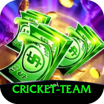 cricket team Premium v2.6.3 - 2