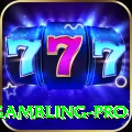 gambling Gaming VIP