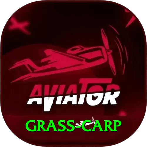 grass carp Apps (Tools & Injectors) Gold v5.5.9 - 2