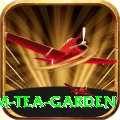 hile ilam tea garden Plus v3.9.8