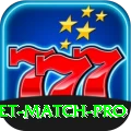 india cricket match Earn Champion v5.9.7