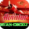 india pakistan cricket Deluxe Pro v1.3.4