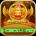 india pakistan cricket - Master v3.0.8