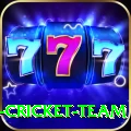 ireland cricket team Pro Max v2.7.5