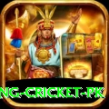 make money betting cricket pk Apps (Tools & Injectors) Premium v1.0.0
