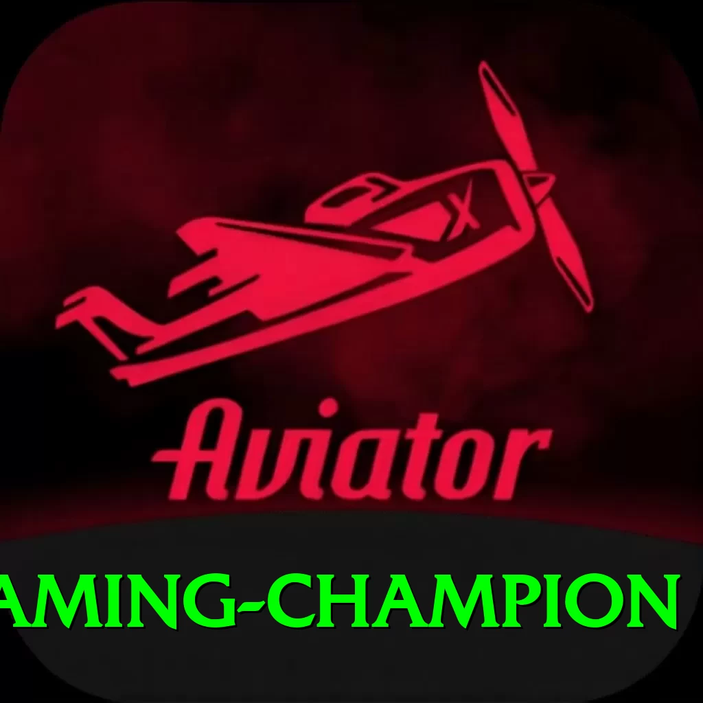 Metawin Gaming Champion - 2