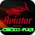 mobile cricket King PK v3.3.2