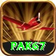 Pak67 Apps (Tools & Injectors) Deluxe vv4.1.3
