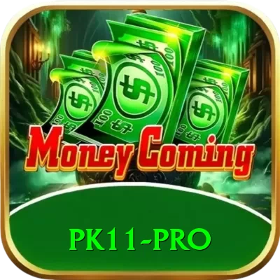 pk11 Casino Official v2.6.2 - 2