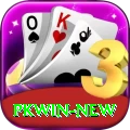 PKWin APK Pro v4.3.4