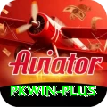 pkwin VIP Edition v1.3.0