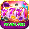 pkwin Pro v4.8.7