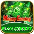 play cricket Ultimate v2.8.7