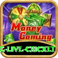 smartcric live cricket Pro1 v2.0.8