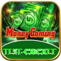 test cricket Premium Edition v2.1.6