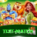 test match Master Pro v3.1.7