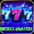 to day cricket match Gold Edition v4.6.7