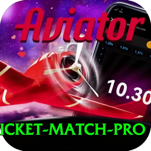 to day cricket match VIP APK v3.9.4 - 2