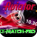 to day cricket match VIP APK v3.9.4
