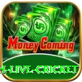 watch live cricket VIP Pro v1.5.7
