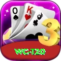 wc t20 Deluxe Edition v4.4.3