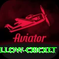 willow cricket Ultimate Pro v3.8.9